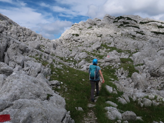 Sabine zwischen Zwölferkogel und Grießkarscharte