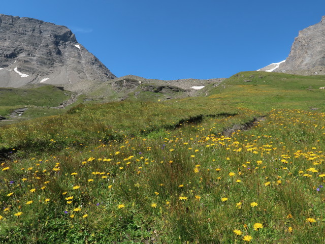 zwischen Remsschartl und Schwarzenberghütte (15. Aug.)