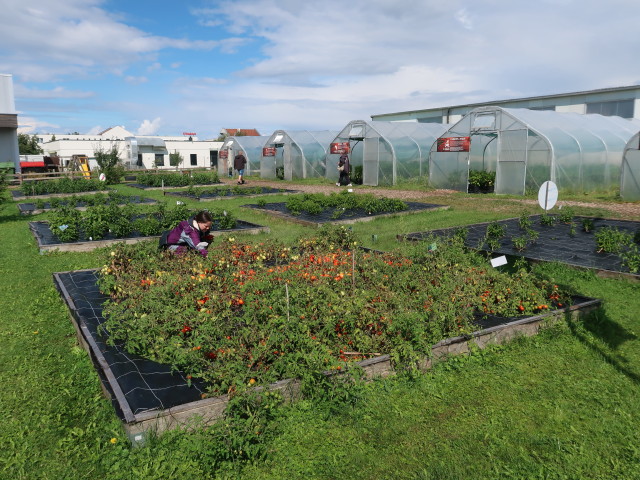 Schaugarten und Gewächshäuser