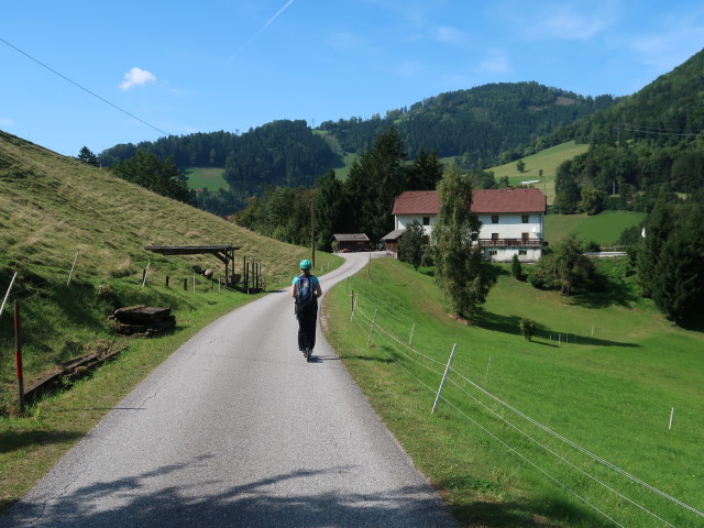 Sabine zwischen Küpfern und Großraming