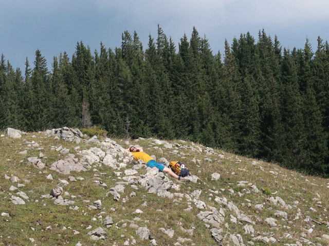 Stefan zwischen Lachalm und Lachalpengraben