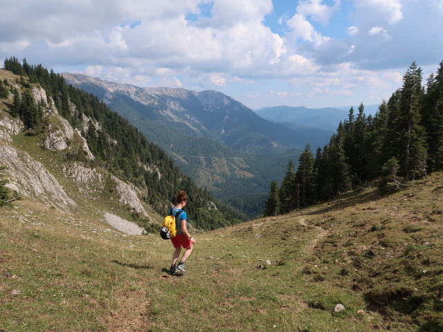 Romana im Lachalpengraben