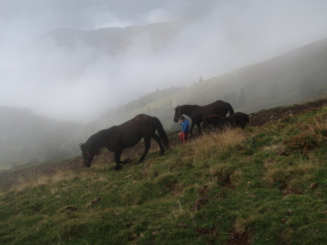 zwischen Rohrmoos und Klingspitz