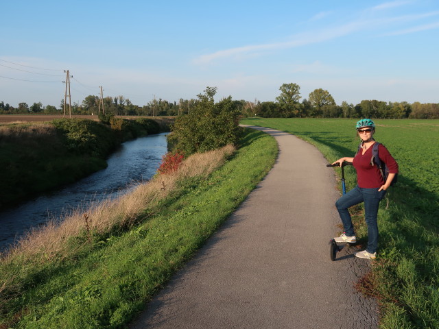Sabine zwischen Pellendorf und Zwölfaxing