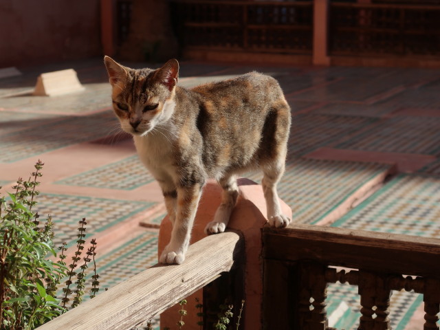 Tombeaux saadiens (26. Sep.)