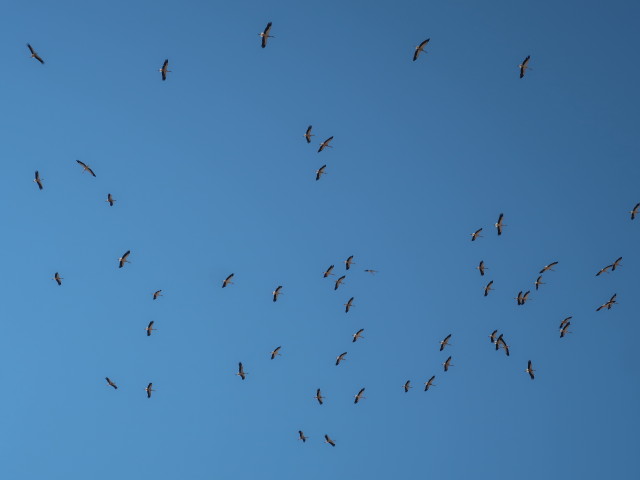 über dem Palais de la Bahia (26. Sep.)