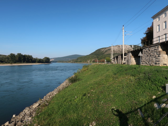 Donau bei Hainburg