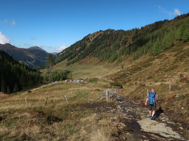 Frank zwischen Schöntalscherm und Schöntalalm (9. Okt.)