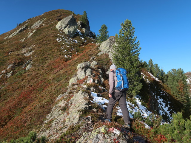 Frank zwischen Haglangeralm und Gerstinger Joch (10. Okt.)