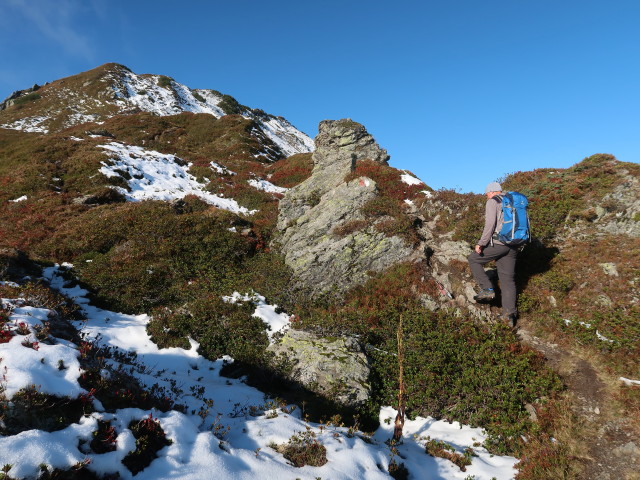Frank zwischen Haglangeralm und Gerstinger Joch (10. Okt.)