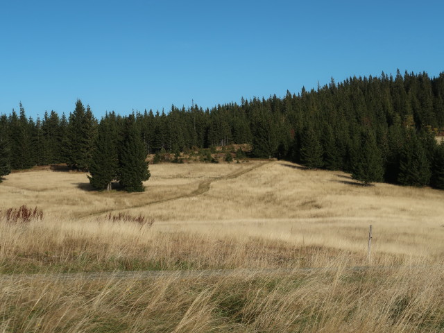 Kampsteiner Schwaig, 1.400 m