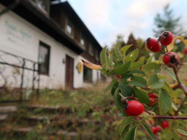 Hotel St. Corona in St. Corona am Wechsel