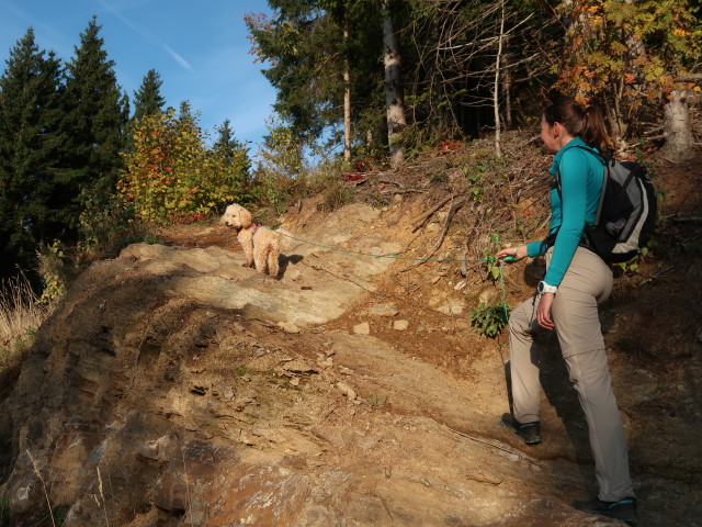 Larissa zwischen Annenheim und Jagdhütte Hütter