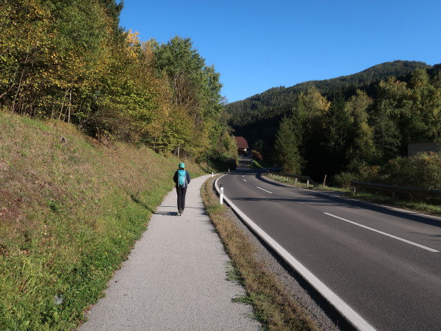 Sabine im Lamingtal zwischen Niederdorf und Rastal