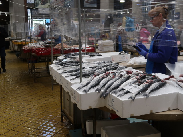 Ribarnica Rijeka (25. Okt.)