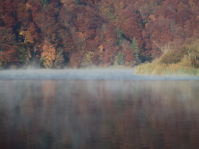 Kozjak im Nacionalni park Plitvicka jezera (30. Okt.)