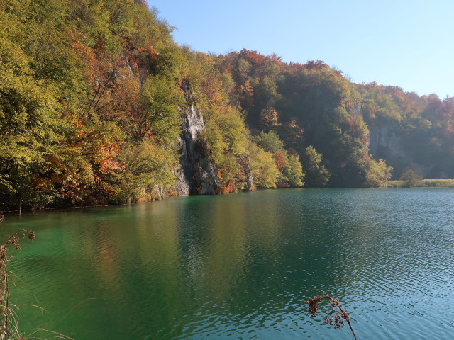 Kaluderovac im Nacionalni park Plitvicka jezera (30. Okt.)