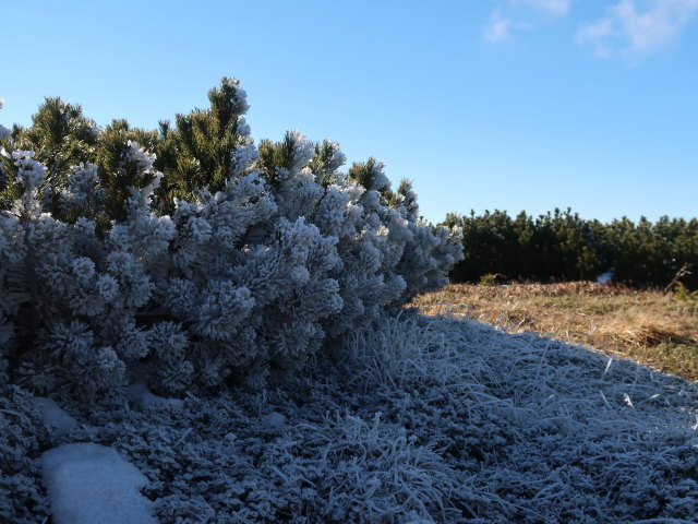zwischen Windberg und Kramerin
