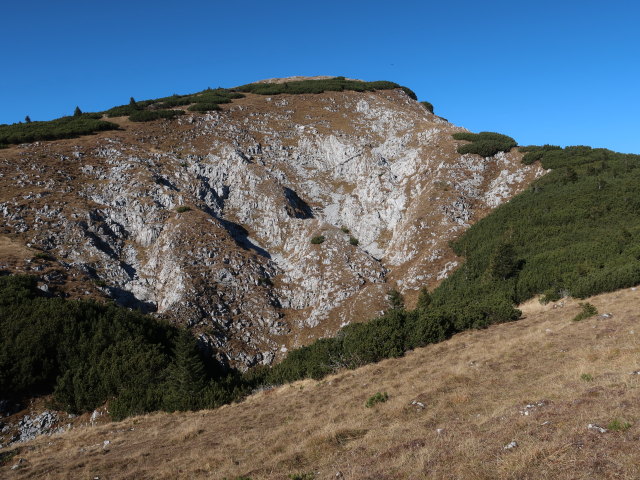 zwischen Knopperwiese und Michlbauerhütte