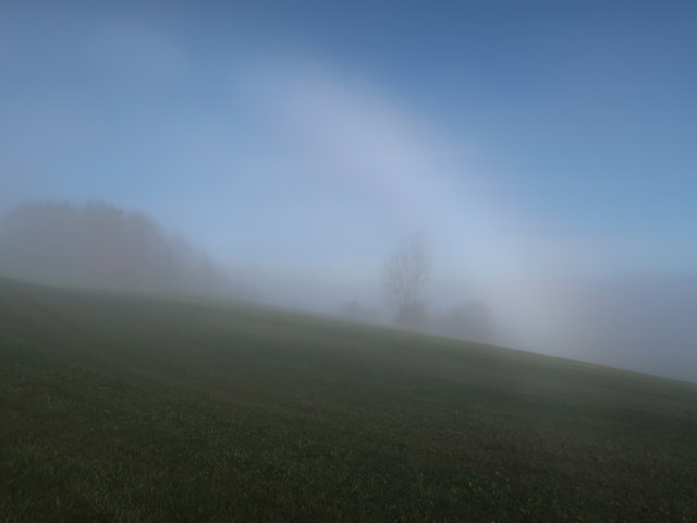 zwischen Mondsee und Leiten
