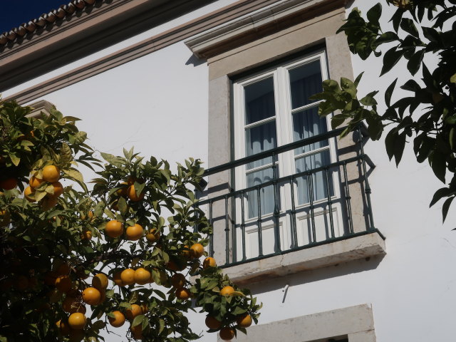 Paco Episcopal de Faro (1. Dez.)