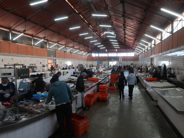 Mercado de Olhao (1. Dez.)