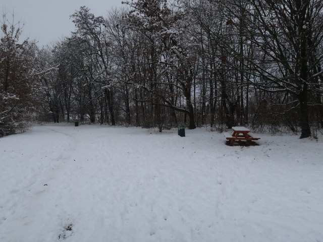 beim Süßenbrunner Badeteich