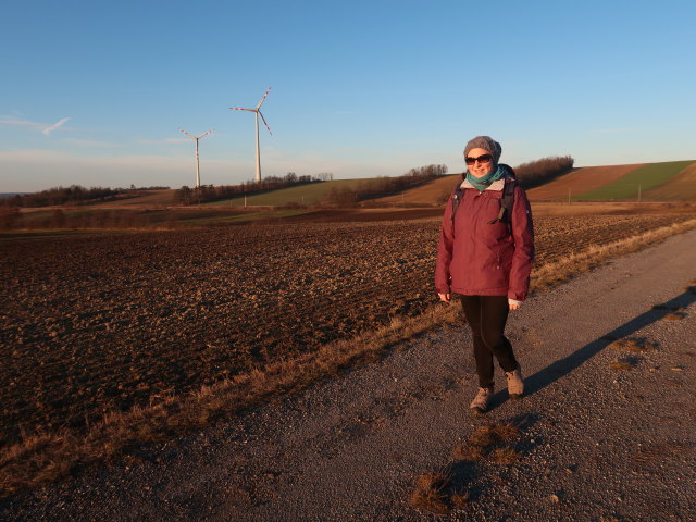 Sabine zwischen Ladendorf und Neubau-Kreuzstetten