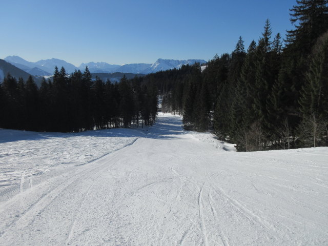 Latschenalmpiste Süd