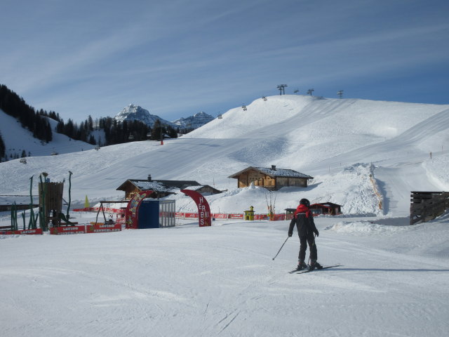 Loferer Alm, 1.350 m