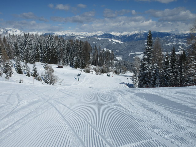 Tressdorfer-Alm-Abfahrt