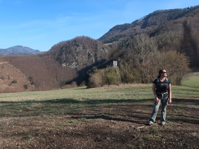 Sabine zwischen Glatzwiesensattel und Spitzbrandkogel