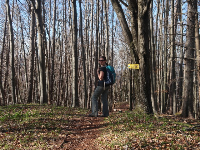 Sabine am Spitzbrandkogel, 729 m