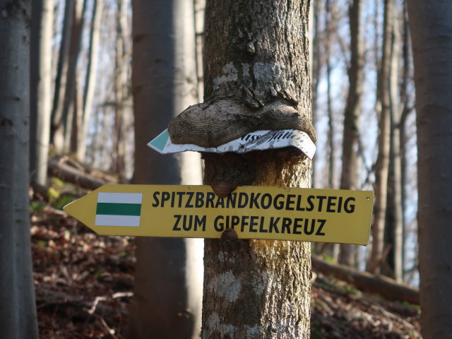 Spitzbrandkogelsteig zwischen Spitzbrandkogel und Ulreichshöhe