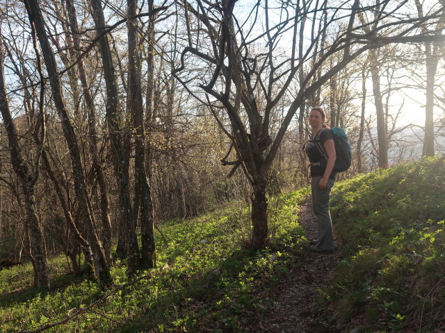 Sabine zwischen Ulreichshöhe und Stillem Tal