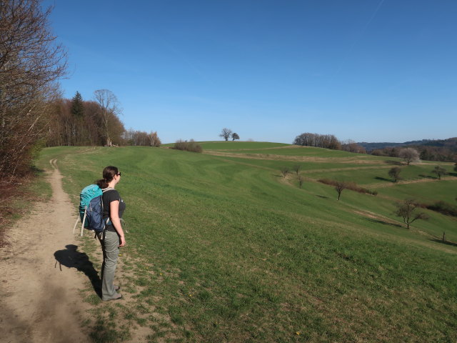 Sabine auf der Rudolfshöhe