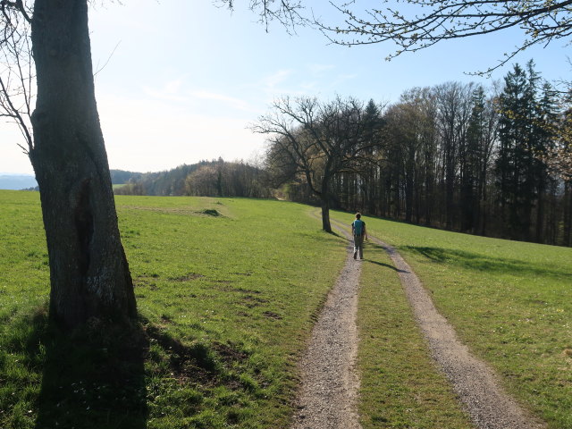 Sabine auf der Rudolfshöhe