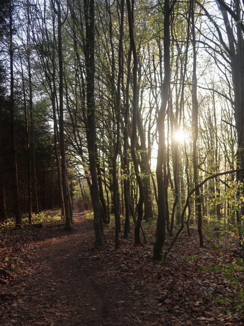 zwischen Ochsenburger Hütte und Kreisbach