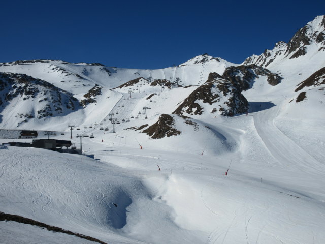 Palinkopf (17. Apr.)