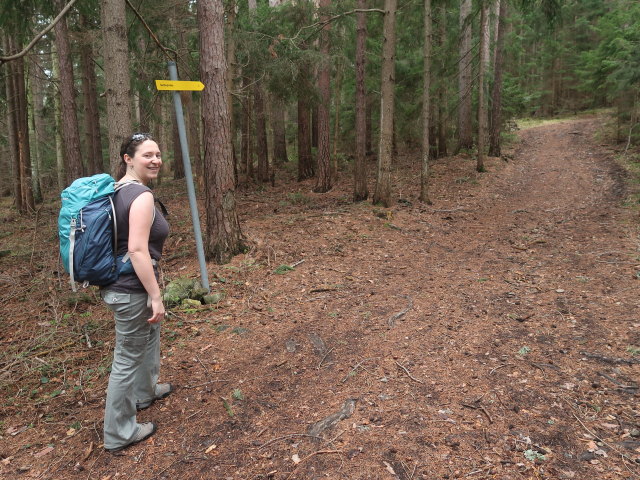 Sabine zwischen Gloggnitz und Raachberg