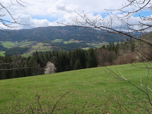 zwischen Raach am Hochgebirge und Rams
