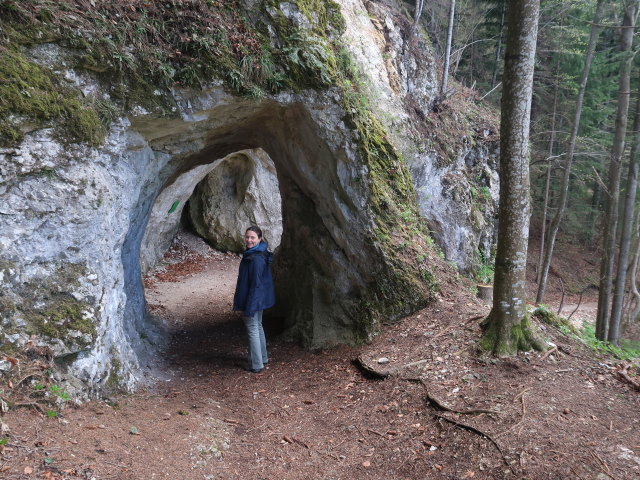 Sabine zwischen Hermannshöhle und Kirchberg am Wechsel