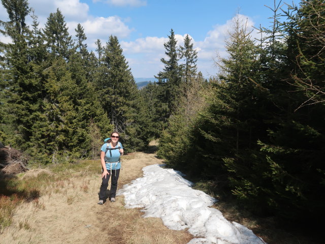 Sabine zwischen Buchecksattel und Rennfeld
