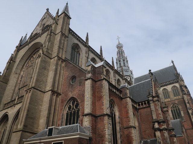 Grote of St.-Bavokerk in Haarlem (16. Mai)