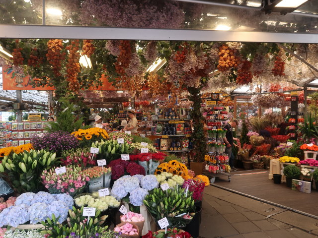 Bloemenmarkt in Amsterdam (18. Mai)