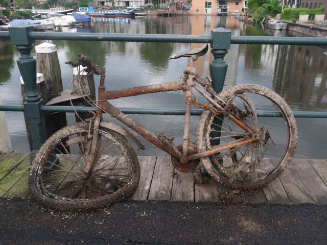 Drieharingenbrug in Amsterdam (19. Mai)