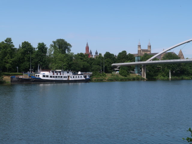 Maas in Maastricht (23. Mai)