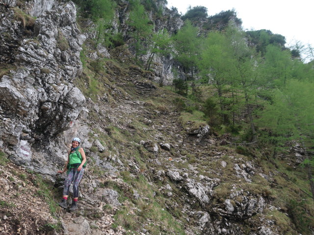 Ursa zwischen Törl und Rauer Kaibling