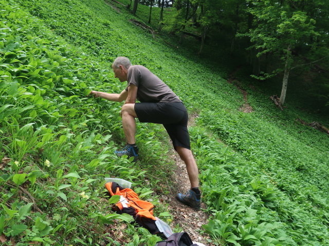 Frank zwischen Törl und Rauer Kaibling