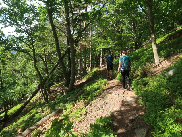 Frank und Sabine zwischen Hirschwand und Steiniger Ries